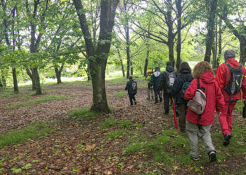 Camiño a Camiño abre las inscripciones para su primera ruta del otoño