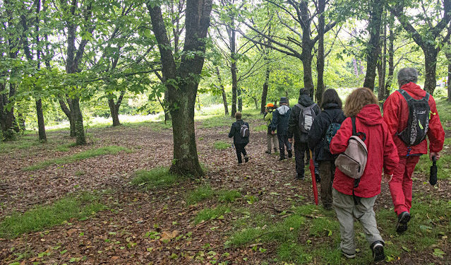 Camiño a Camiño abre las inscripciones para su primera ruta del otoño