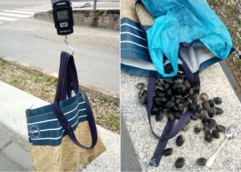 Un furtivo vigués amenaza al guardia rural tras ser sorprendido por quinta vez este mes