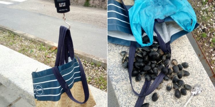 Un furtivo vigués amenaza al guardia rural tras ser sorprendido por quinta vez este mes