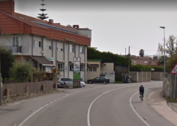 El ataque de un loro provoca la caída de un ciclista que resultó herido en Nigrán