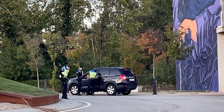 Interceptan a un conductor ebrio que se dio a la fuga tras chocar contra un coche en Tomiño