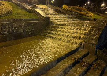 La borrasca ‘Beatrice’ golpea con fuerza Vigo: rachas de 90 km/h, riadas y un gran árbol derribado