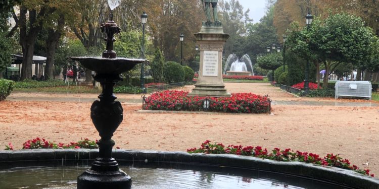 La lluvia como un tesoro