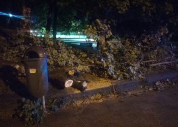El temporal causa la caída de árboles y de un poste sobre vehículos en Vigo