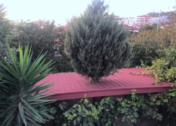 Respetando la naturaleza