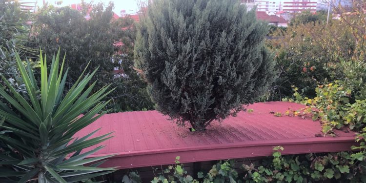 Respetando la naturaleza