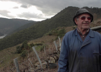 El Festival de Cine Inclusivo de Vigo abre el plazo para votar en el concurso de webseries