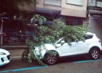 El mal tiempo causa daños en un coche aparcado en Vigo al caerle una rama encima
