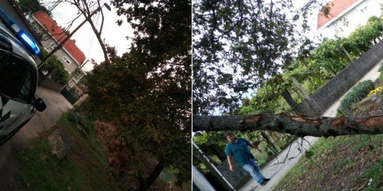 El viento tira un árbol sobre el tendido eléctrico y la fachada de una casa en Vigo
