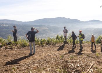 Ruta gratuita para disfrutar de “privilegiadas” vistas a Vigo, su ría y la ensenada de San Simón