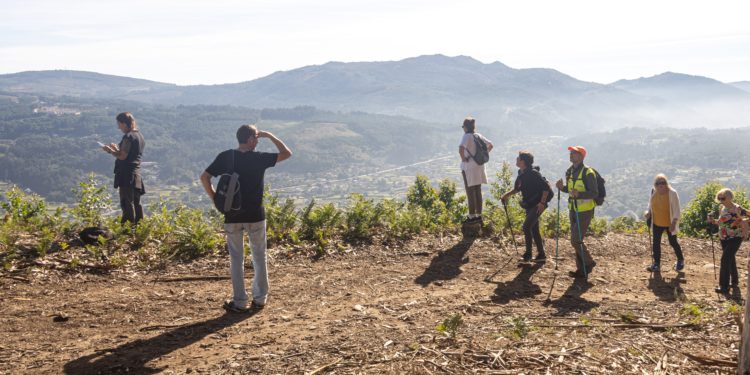 Ruta gratuita para disfrutar de “privilegiadas” vistas a Vigo, su ría y la ensenada de San Simón