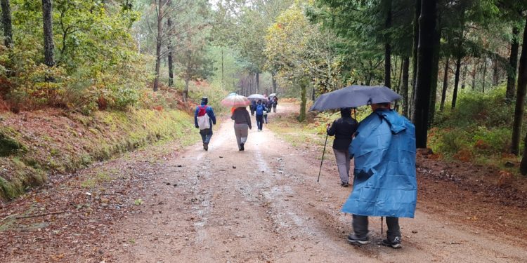 Ruta organizada desde Vigo para visitar Castelo de Cans y Faro de Budiño