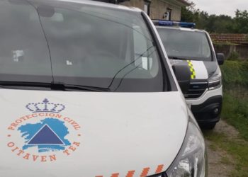 Una persona herida tras caer un árbol sobre su vehículo