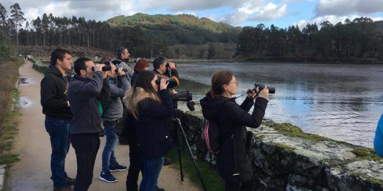 Ábrese a inscrición para a ruta ‘Voando nas Rías Baixas’ que discorrerá xunto a ensenada de San Simón
