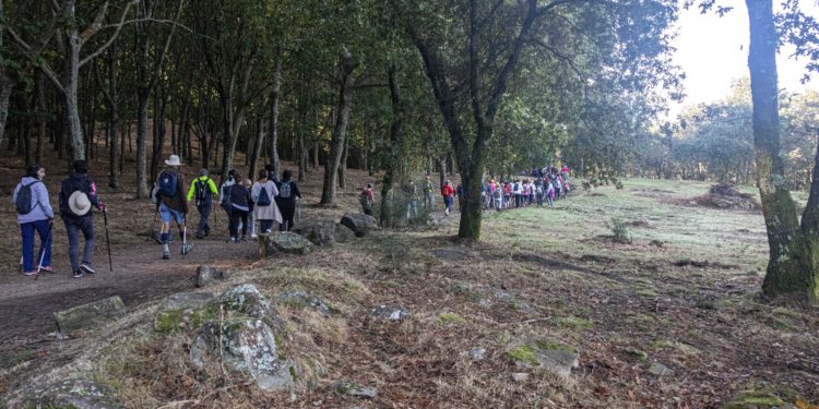 Nueva ruta de Camiño a Camiño por construcciones medievales, casas indianas y vistas panorámicas