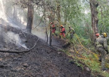 Detienen a una persona reincidente por un conato de incendio que afectó a Ponteareas en agosto