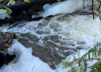Ecologistas denuncian un vertido de procedencia industrial en el río Eifonso de Vigo