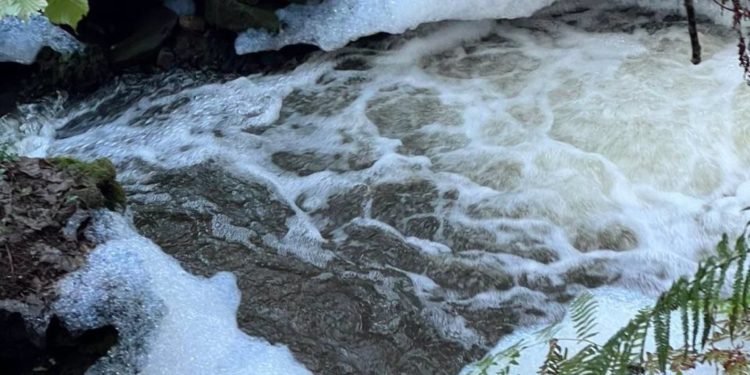 Ecologistas denuncian un vertido de procedencia industrial en el río Eifonso de Vigo