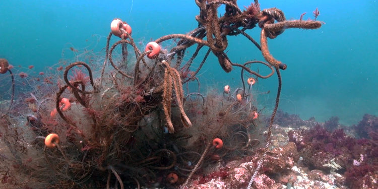 La Semana de Cine Submarino de Vigo comienza con reconocimiento a la Cofradía de Pescadores
