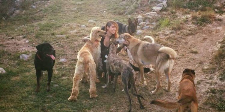 Ansiedad, abandono y «maltratos» de la Navidad en las mascotas: así habla y vive una psicóloga canina en Vigo