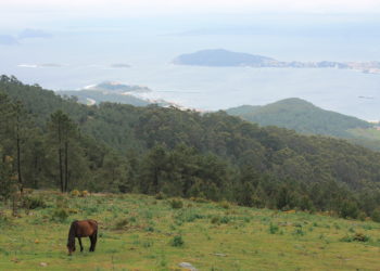 Freno a otro parque eólico en la Serra da Groba por su impacto ambiental “crítico” e “irreversible”