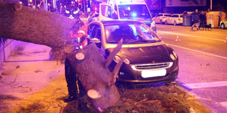 Una madre y su hija se salvan por centímetros tras caer un árbol sobre su coche en Samil