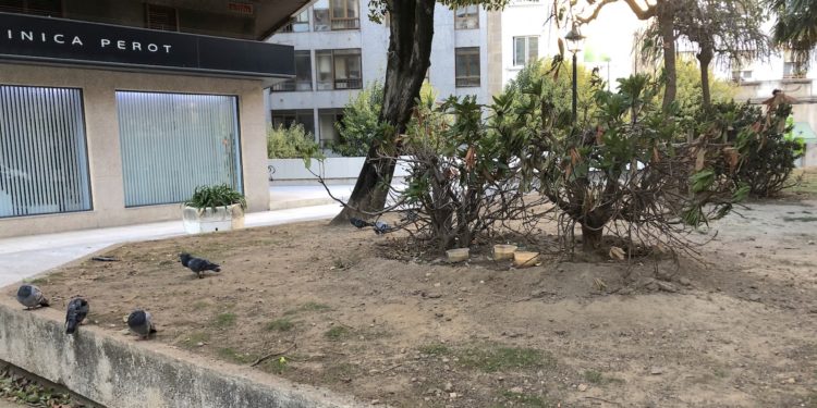 Alimentando un problema