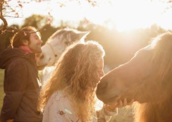 El caballo nos recuerda que un mundo más sensible es posible