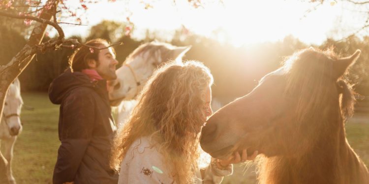 El caballo nos recuerda que un mundo más sensible es posible