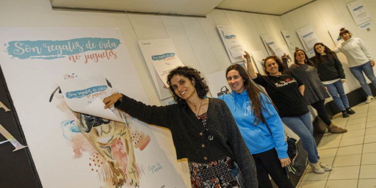 No son juguetes, son mascotas: el Travesía de Vigo promueve una campaña de adopción de animales