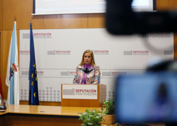 A Deputación pecha 2022 tras «impulsar» Vigo: 34 grandes obras, recuperación de Samil e Vigo Vertical