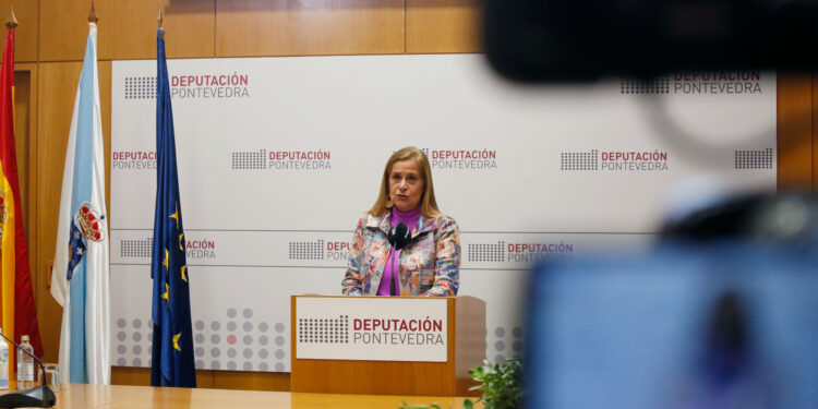 A Deputación pecha 2022 tras «impulsar» Vigo: 34 grandes obras, recuperación de Samil e Vigo Vertical