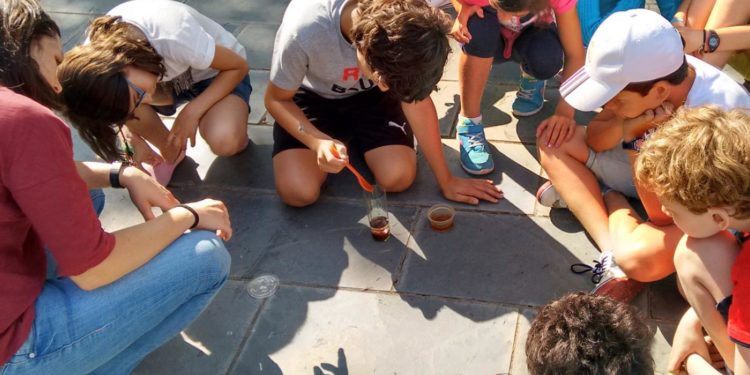 A UVigo estreará unha versión de Nadal do campamento de verán Campus Camp