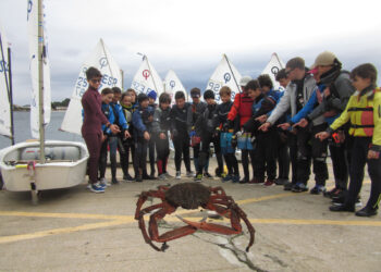 Capturan un centollo de 18 kilos en Canido