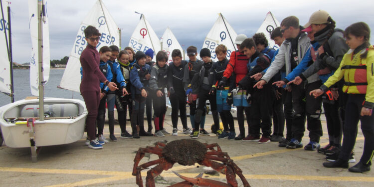 Capturan un centollo de 18 kilos en Canido