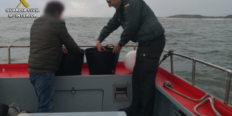 La Guardia Civil se incauta de 30 kilos de centolla y 3 de nécora en Cangas