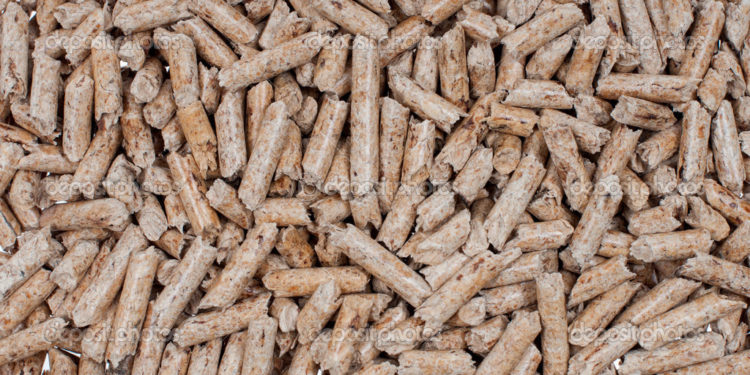 La Deputación de Pontevedra invertirá 450.000 euros para dotar de calderas de biomasa a edificios municipales