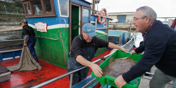 Veto a la pesca y temporal elevan en Navidad el precio del pescado, que se duplica en algunas lonjas gallegas