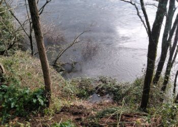 Rescatan en Tui a una mujer que cayó con sus tres perros al Miño por un talud de cuatro metros de altura