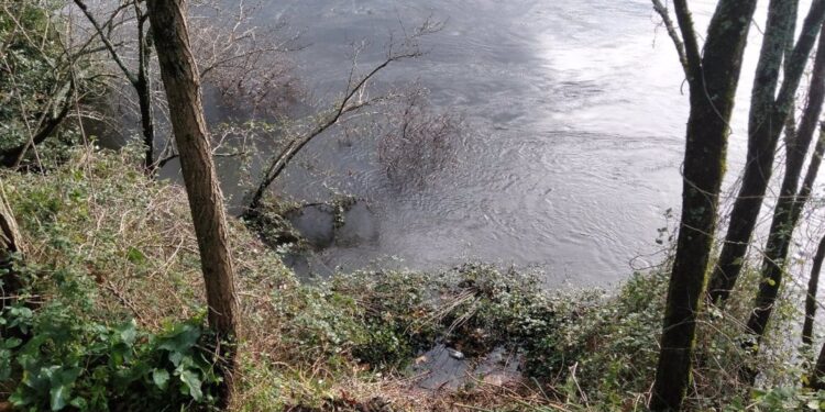 Rescatan en Tui a una mujer que cayó con sus tres perros al Miño por un talud de cuatro metros de altura