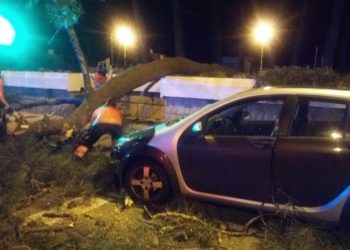 La caída de un árbol sobre un tren en Redondela provoca incidencias a los viajeros con destino a Vigo