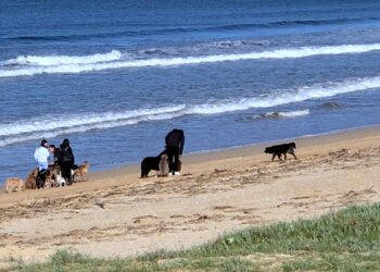 Playas viguesas en invierno