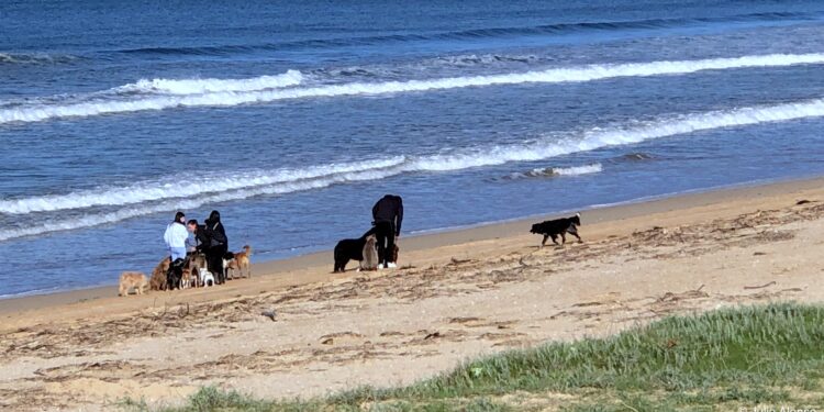 Playas viguesas en invierno
