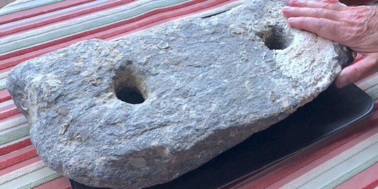 Tesoros en la ría de Vigo