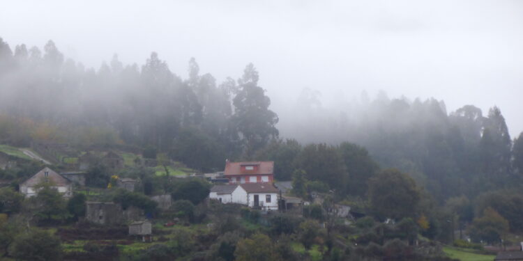 Tiempo de volver a casa