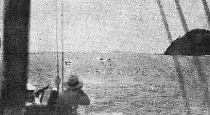 Cazando delfines a tiros en la ría de Vigo