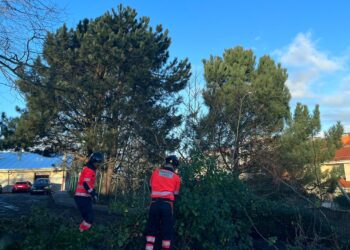 El temporal deja un árbol caído cerca de una escuela infantil de Vigo y accidentes múltiples en Ponteareas