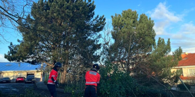 El temporal deja un árbol caído cerca de una escuela infantil de Vigo y accidentes múltiples en Ponteareas