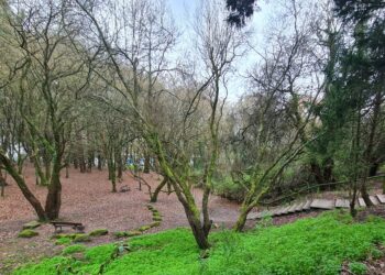 Vigo celebra el Día de los Humedales con actividades familiares y un recorrido por el Lagares y A Bouza